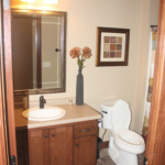 Bathroom on Lower Level (The Silvercrest)